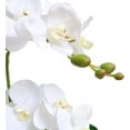thumbnail image 4 of Artificial Phaleanopsis Flowers Fake Orchids Leaves Branches for Home Bonsai Garden Decoration (White), 4 of 5