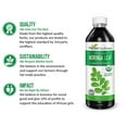 thumbnail image 6 of Moringa Leaf Extract Liquid Drop, Organic Moringa Powder Leaves - Digestive, Immune & Antioxidant Supplement, 12oz - Herbal Goodness, 6 of 8