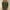 Army Green, variant on Viadha Women's Casual 3/4 Sleeve T-Shirts Round Neck Cute Tunic Tops Basic Tees Blouses Loose Fit Pullover