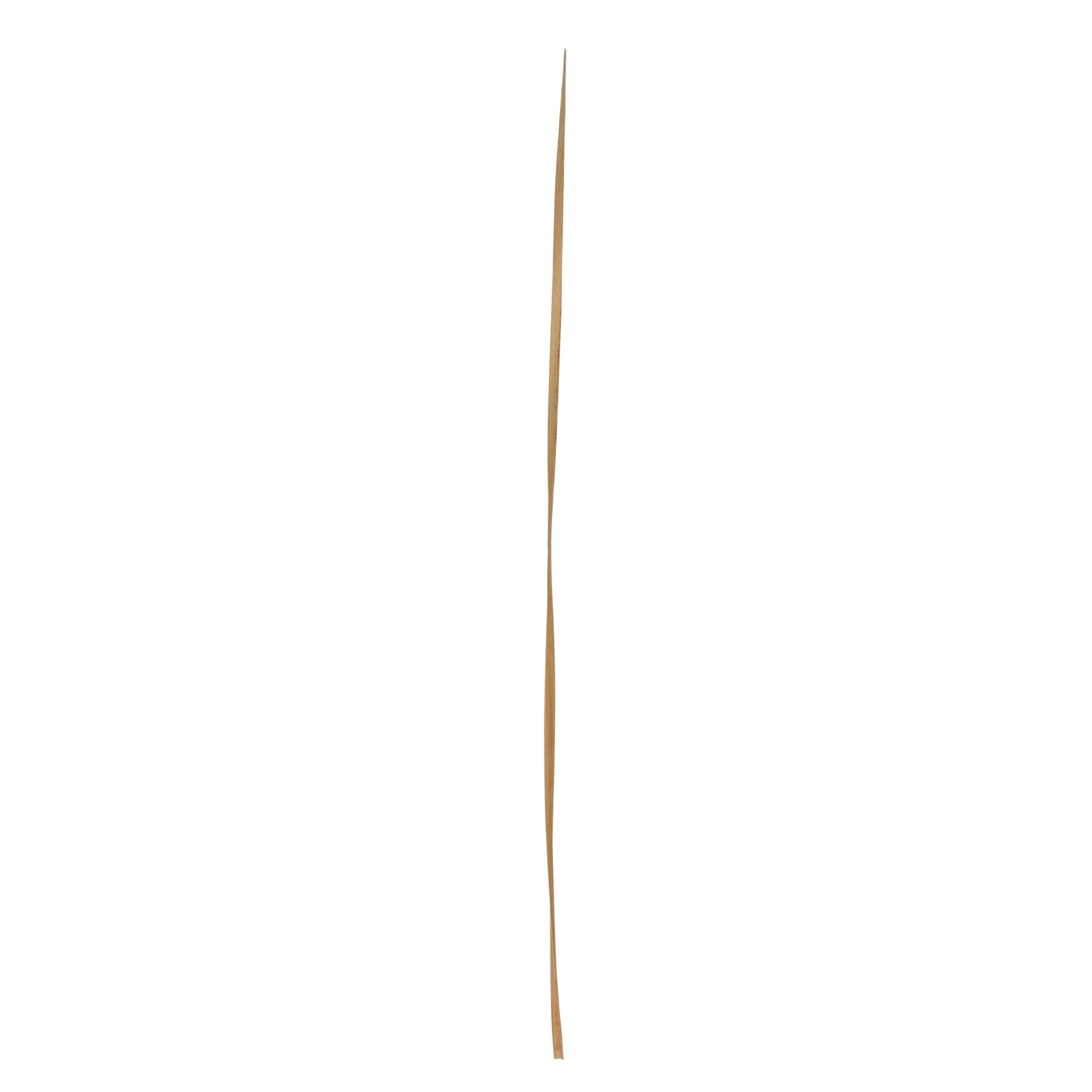 80" Tall Sticks Dried Plant Natural Foliage Bouquet, by DecMode