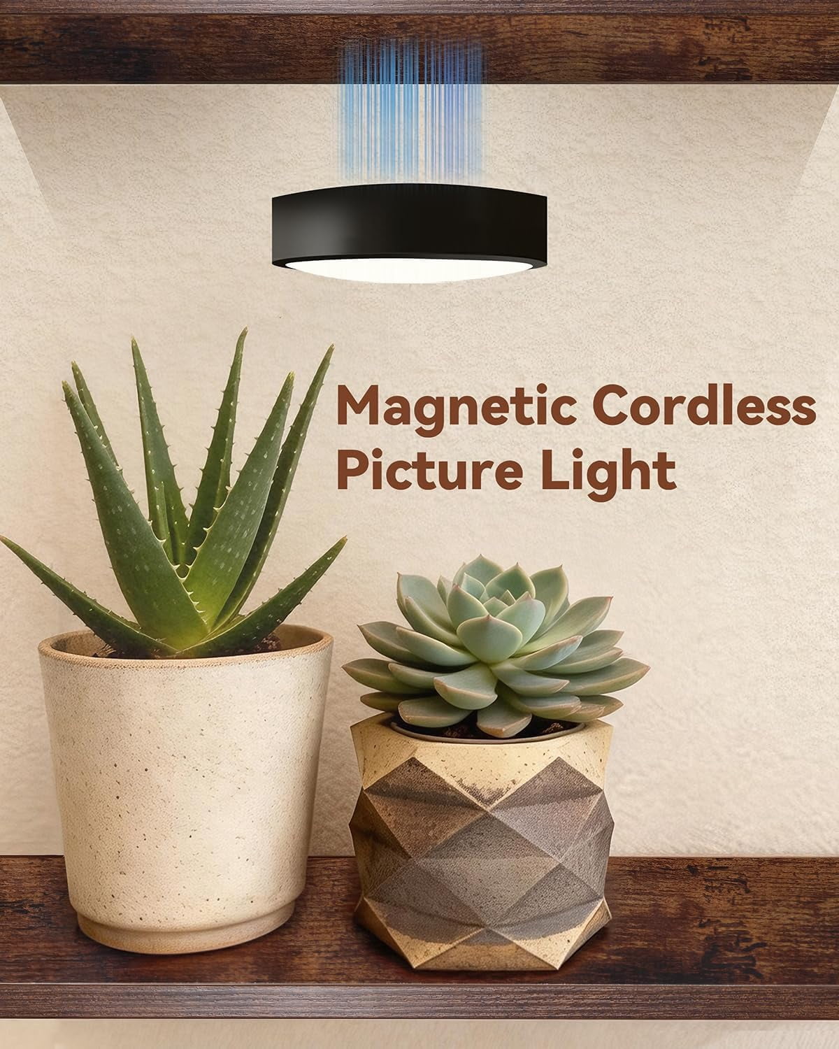 Floating Wall Shelves Set of 3 with Rechargeable Picture Lights, Wood Plant Display Shelves and Remote Control LED Lighting for Indoor Plants