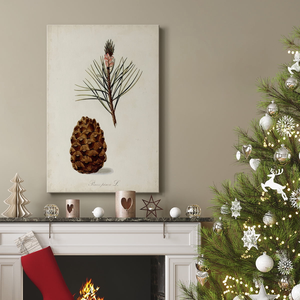 Antique Tree Study V- Gallery Wrapped Canvas