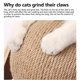 thumbnail image 4 of QISIWOLE Juguete para rascar para gatos Bola para rascar para gatos de sisal natural Bola para rascar para gatos Juguete interactivo para mascotas de madera maciza, Liquidación, 4 of 7