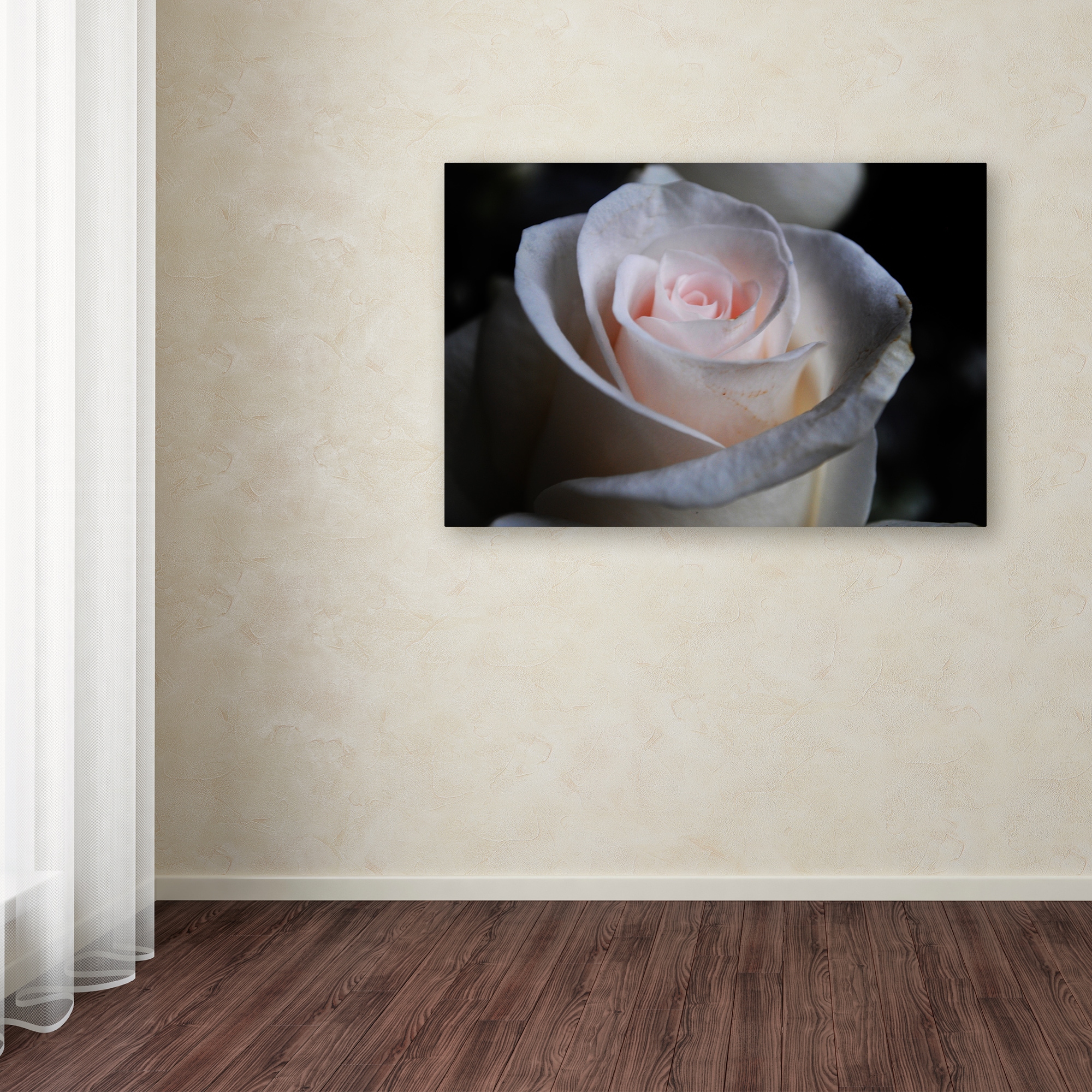 Trademark Fine Art "Loyal Star" Canvas Art by Monica Mize