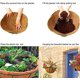 thumbnail image 5 of Zhuge 2 piezas de revestimiento de coco de repuesto redondo para cesta colgante, revestimiento de cesta de planta de fibra de coco de 21,65 pulgadas para maceta de jardín (redonda), 5 of 5