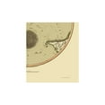 thumbnail image 2 of Historic Map - Southern Hemisphere - Thomson 1816 - Vintage Wall Art, 2 of 4