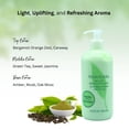 thumbnail image 3 of Elizabeth Arden Green Tea Body Lotion for Women, 16.8 oz, 3 of 6