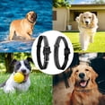 thumbnail image 2 of Paipaitek Replacement Shock Collar Strap, 3/4 inch Dog Collar Fit All Brands of Shock Training Collars and Bark Collars - Durable and Adjustable - Reflective Black Dog Collar, 2 of 9