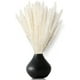 thumbnail image 5 of Hierba de Pampa Seca, Hierba de Pampa Natural Pampas Secas, Hierba de Pampa Natural, Cañas Secas, Flores Secas, Hierba de Pampa para Decoración del Hogar (10 Piezas), 5 of 8