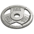 Cast Iron Plate Weight Plate, Single, for Weightlifting and Strength