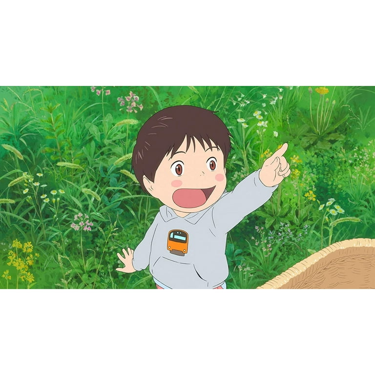 Mirai (DVD), Universal Studios, Kids & Family - Walmart.com
