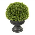 thumbnail image 1 of Zentique ZENC-2 Faux Potted Plant, 1 of 1