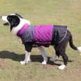 thumbnail image 3 of Reversible Dog Winter Coat, Thick Warm Dog Coat with Snowflake Lining&Zipper, Adjustable High Collar Waterproof Jacket, Reflective Pet Cold Weather Coats for Small Dogs, 3 of 8