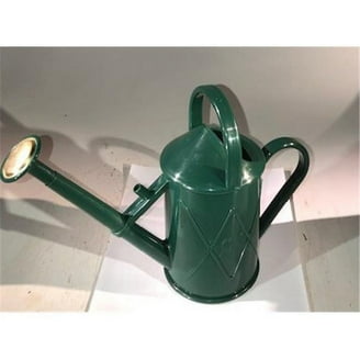 Innaffiatoio DRAMM In Plastica Stampata 2 Litri - Verde, Design Antigoccia - 4
