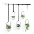 thumbnail image 4 of Umbra Triflora Hanging Planter, Set of 5, 4 of 6