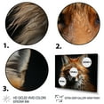thumbnail image 3 of Designart "Photogenic Fox Portrait" Animals Canvas Print, 3 of 5
