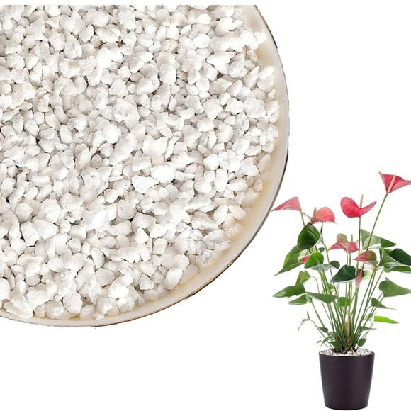 LNGOOR Organic Perlite Potting Mix Soil 3 qt 3-6 mm Horticultural Organic Perlite Organic Perlite Soil Amendment Natural Potting Soil Mix for Enhanced Drainage and Growth Ideal for Pot