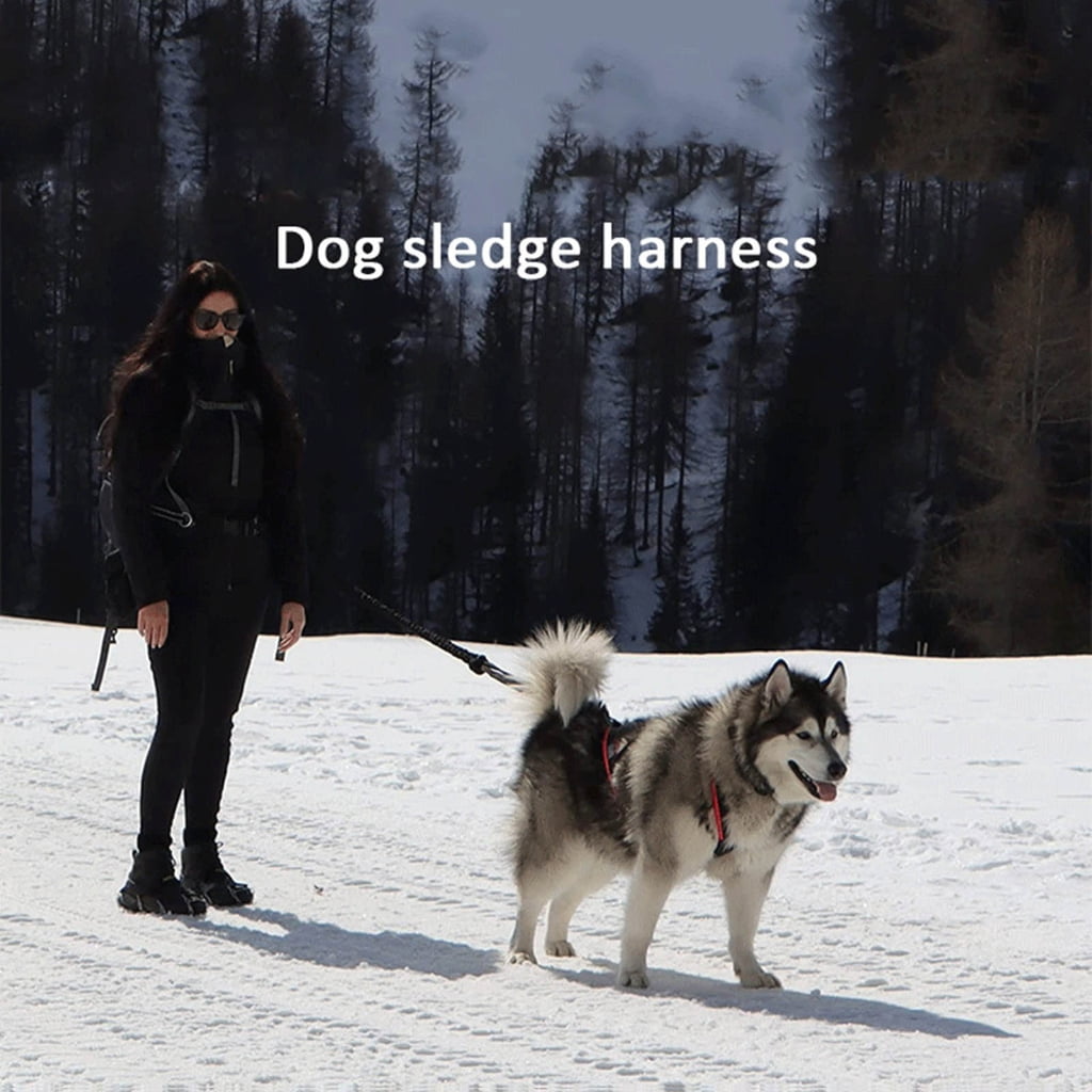 WINDLAND Dog Harness for Outdoor Sports and Adventures Use Skiing Running Pet Harnesses