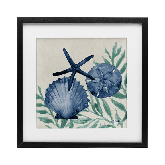 Stupell Industries Tropical Tampico Shells in Blue Black Framed Print Under Glass, 13 x 13, by Paul Brent