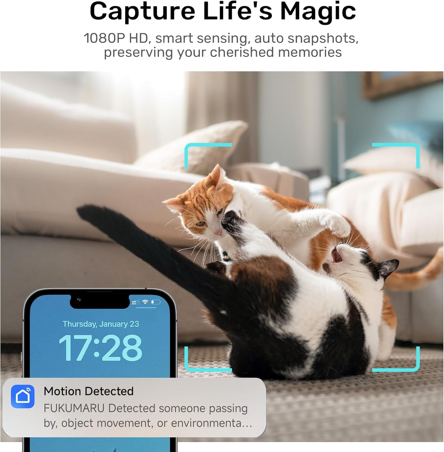 Automatic Cat Feeder with Rotating Camera, 1080P HD Video Night Vision, 5G WiFi APP Control, 2-Way Audio, Low Food Alerts