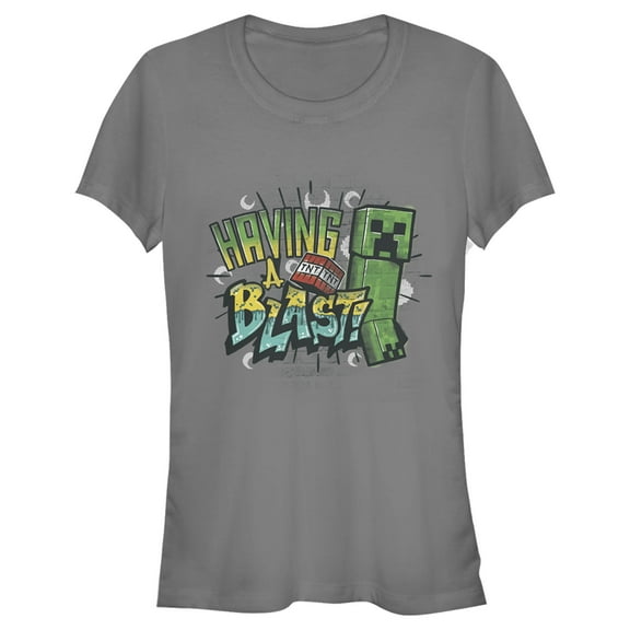 Junior's Minecraft Having a Blast  Graphic Tee Charcoal Large