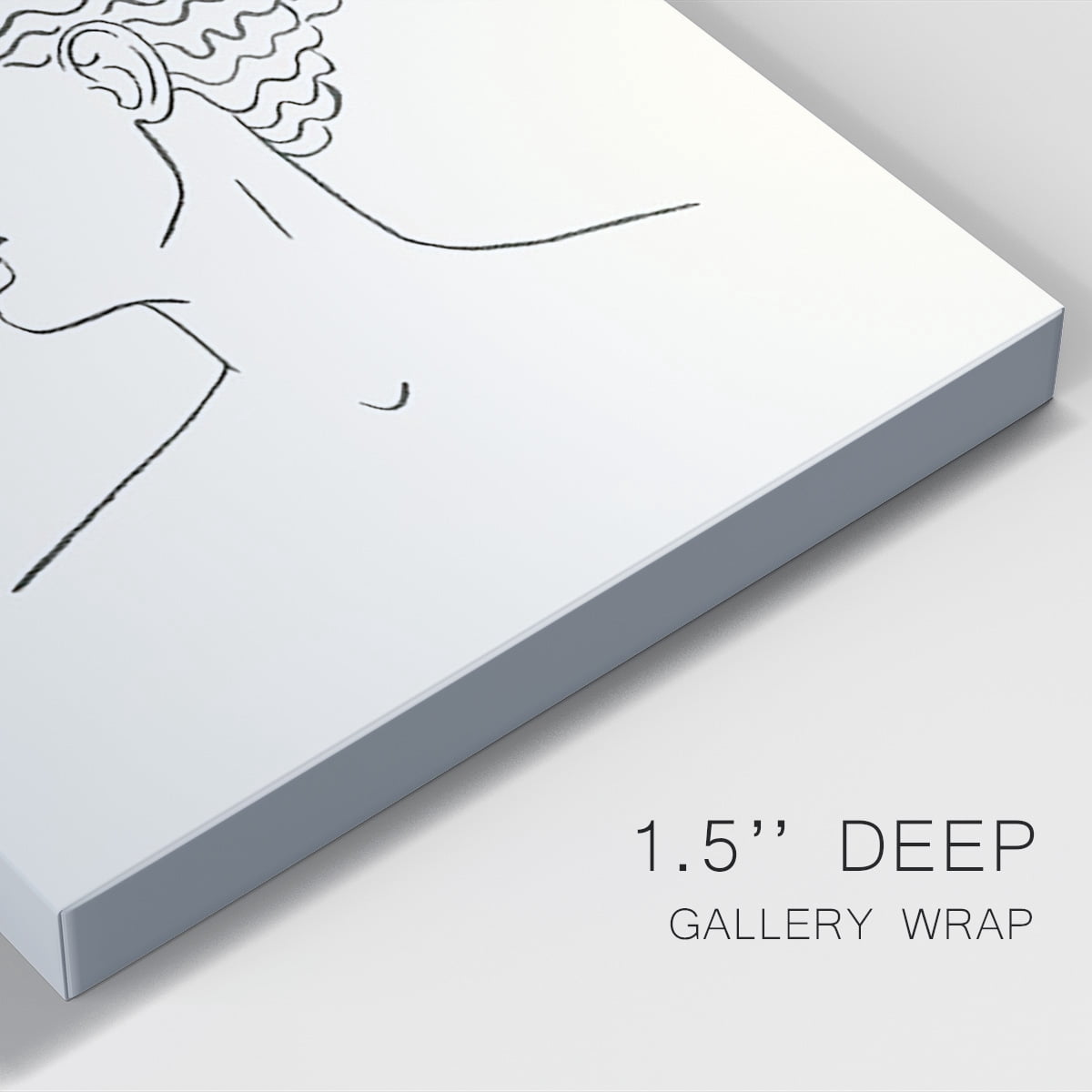 Greek Busts III Premium Gallery Wrapped Canvas - Ready to Hang