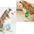 thumbnail image 6 of Dog Recovery Sleeve with Paded, Dogs Front Leg Sleeves After Surgery, Elbow Protector for Small Medium Large Dogs, Puppy Joint Brace Prevent Licking Wound Cone Alternative, 6 of 6