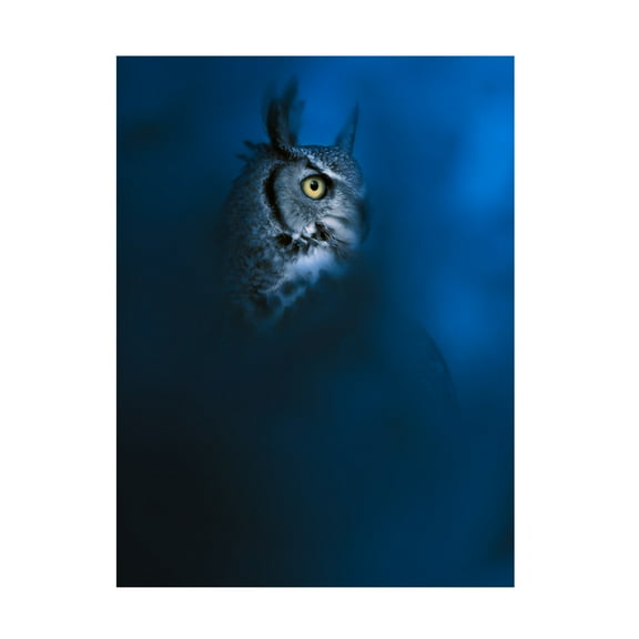 Trademark Fine Art Ahmed Sobhi Blue Canvas Wall Art