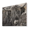 thumbnail image 2 of Designart 'Close Up Of Scottish Cow On Moorland II' Farmhouse Print on Natural Pine Wood, 2 of 5