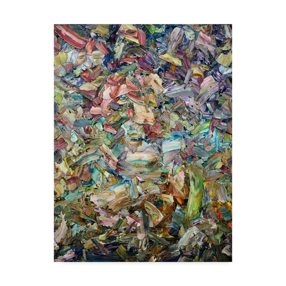 Trademark Fine Art 'Roadside Fragmentation' Canvas Art by James W. Johnson