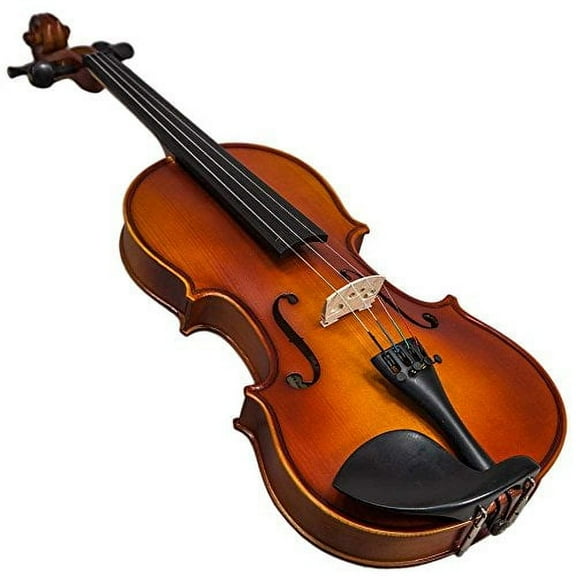 Paititi 4/4 Full Size Solid Wood Ebony Fitted Violin with Bow Lightweight Case