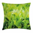 thumbnail image 1 of Plant Throw Pillow Cushion Cover, Lush Green Leaves with Sun Open Air Sunny Days Spring Time Happy Vibes Environment, Decorative Square Accent Pillow Case, 16 X 16 Inches, Apple Green, by Ambesonne, 1 of 2