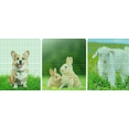 thumbnail image 2 of Temporary Fence with Posts, 3'x50' Snow Plastic Mesh Fencing with Fiberglass Stake Windbreak Rope, Movable Net Fencing for Dogs, Sheep, Lamps, Used in Garden, Backyard, 2 of 11
