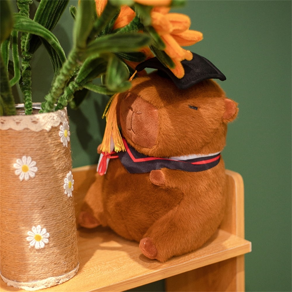 8.66" Dr. Capybara Plush Toy Adorable Fluffy Capybara Plush Toy, Hypoallergenic Gift for Medical Students, Doctors and Kids