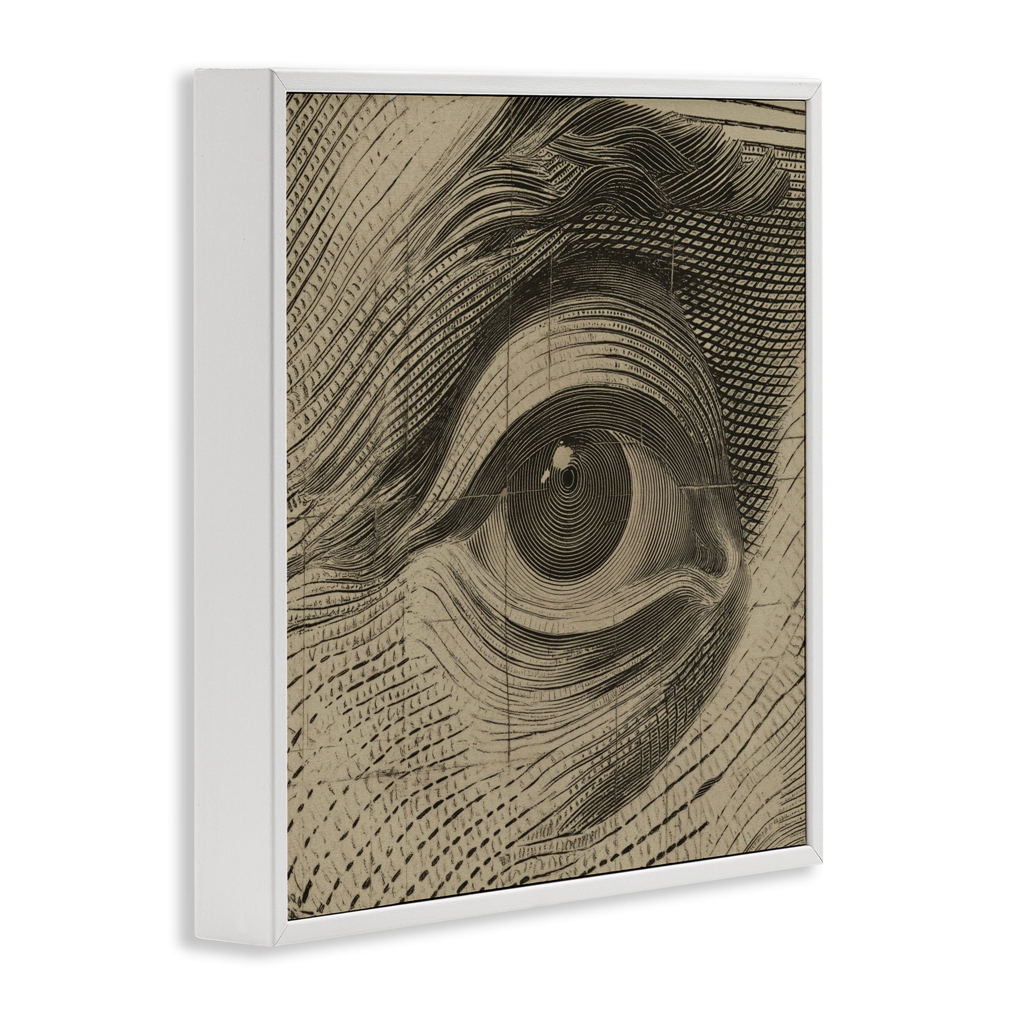 Stupell Industries Franklin's Gaze Eye White Framed Giclee Art, design by Svetlana Aleynikova