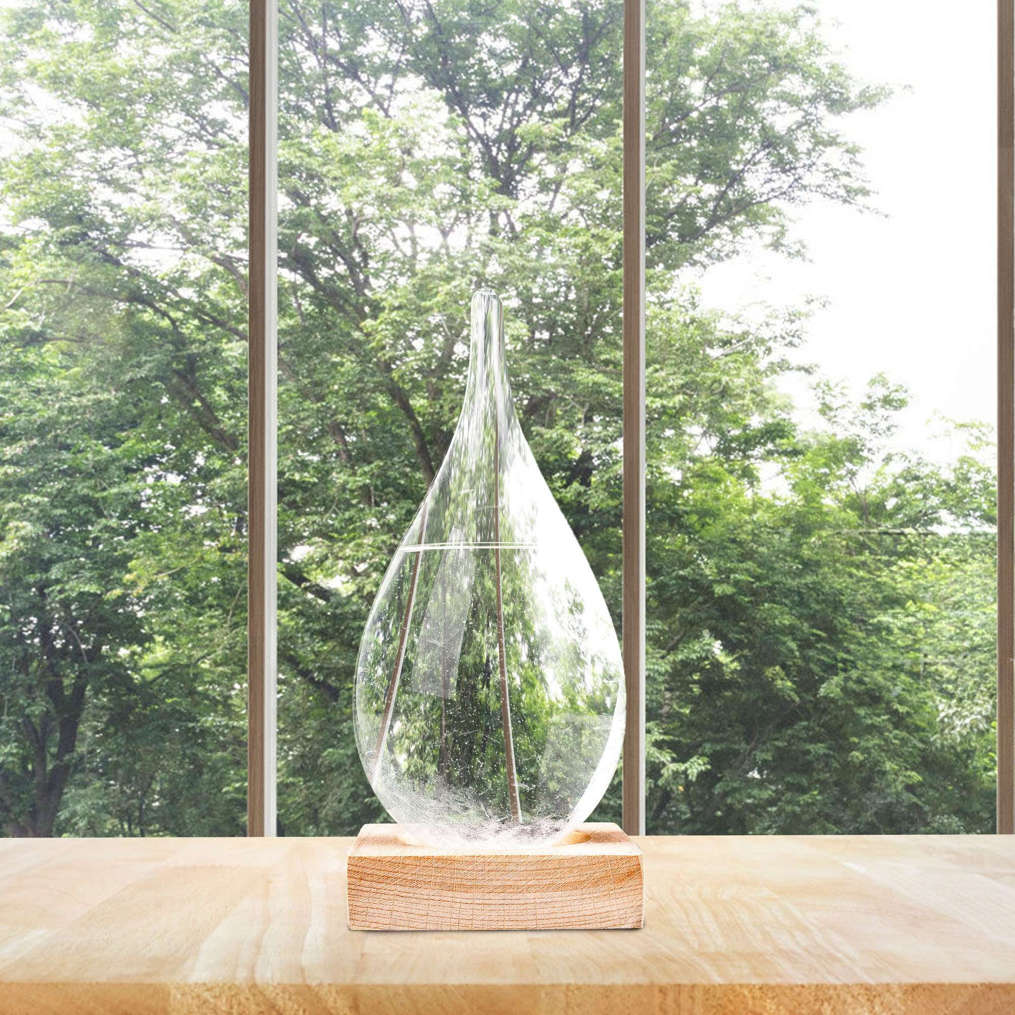Deago Storm Glass Weather Predictor, Weather Station Weather Forecaster with Wood Base, Creative Crystal Glass Bottle for Home & Office Decoration