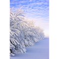 thumbnail image 1 of Affiche Couverte de Neige&44; 12 x 18, 1 of 1