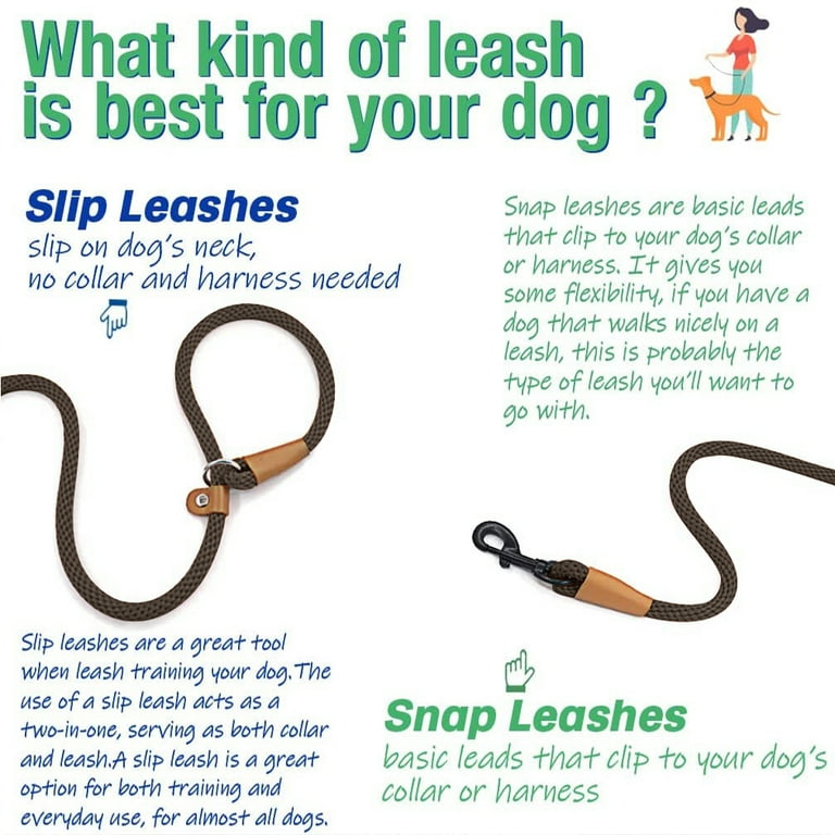 Dog training leashes types sale