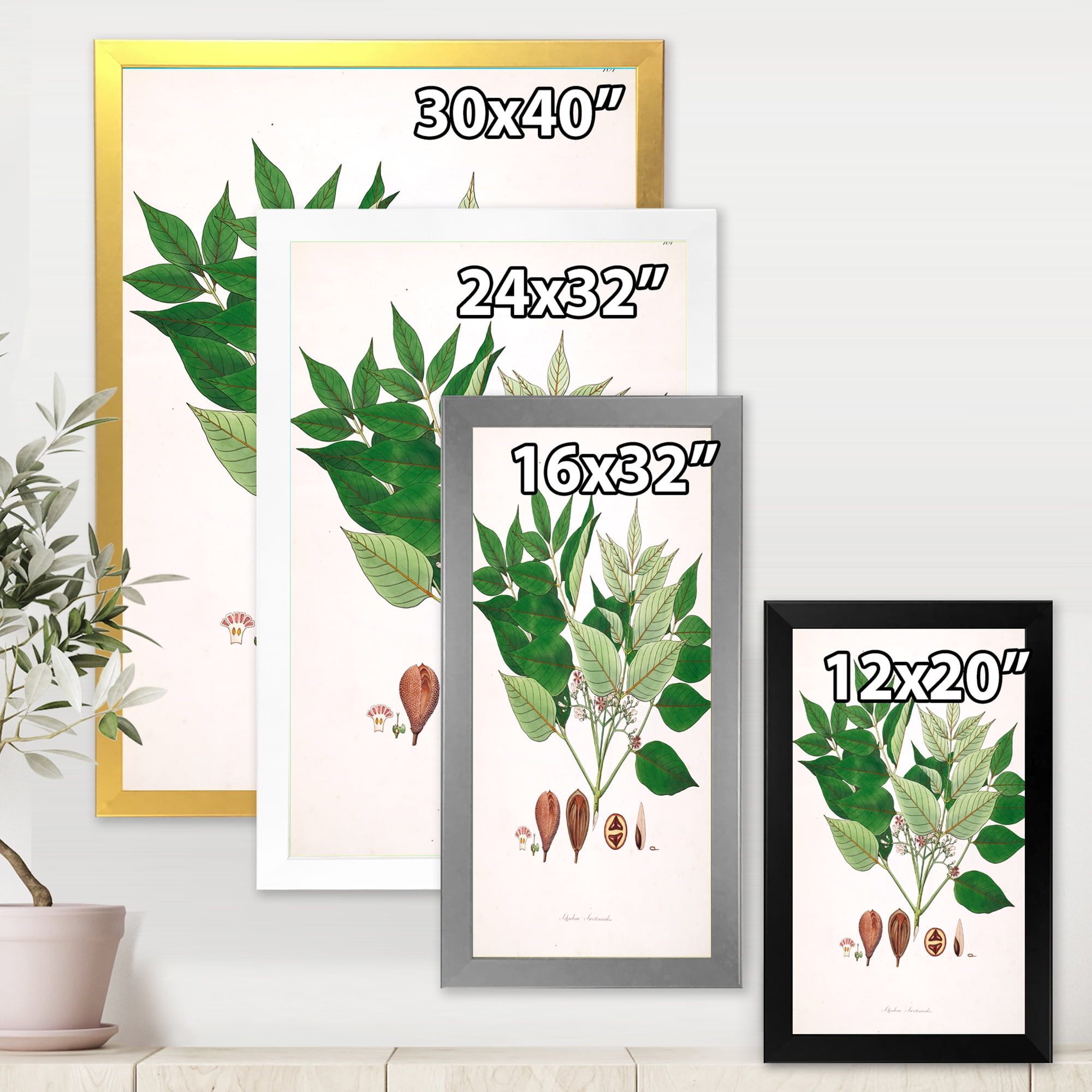 Designart 'Ancient Plant Life XII' Farmhouse Framed Art Print