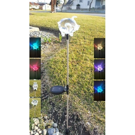 Clear Acrylic Pig Solar Powered Yard Stake Set Of 2 Outdoor Clear Acrylic Pig Solar Powered Yard Stake Set Of 2 Outdoor Walkway Lighting Com
