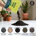 thumbnail image 5 of Rosy Soil Plant Food, All-Purpose Organic Nutrient-Rich Fertilizer - 2qt, 5 of 9