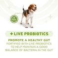 thumbnail image 4 of Purina ONE +Plus Whole Body Support with Real Chicken, Dry Dog Food 9.5 kg, 4 of 9