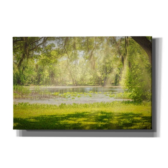 Epic Graffiti 'Texas Pond on a Sunny Afternoon' by Grace Fine Arts Photography, Canvas Wall Art, 60"x40"