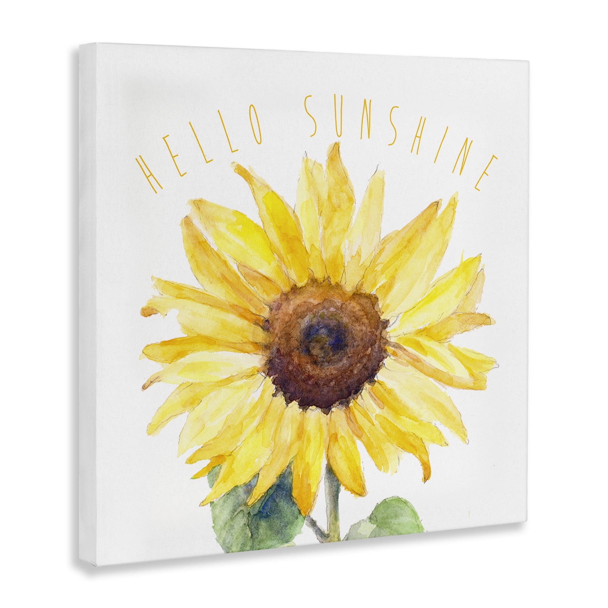 Stupell Industries Hello Sunshine Bloom Plants & Flowers Painting Wrapped Canvas Art Print Wall Art, 17 x 17