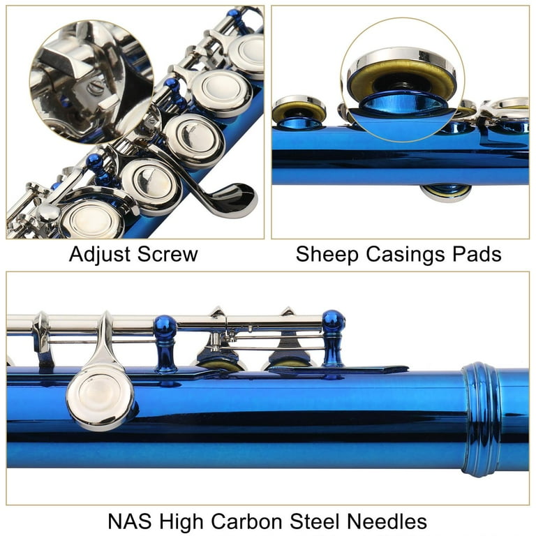 Zimtown 16 Hole C Flute Kit with Case and Accessories, Blue