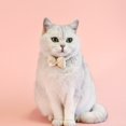thumbnail image 3 of Chat Cou Cercle Animaux de Compagnie Collier Réglable Chien Arc Cou Cercle Élégant Exquis Coeur Pendentif Chat Cou Sangle Animal Accessoire Collier avec Décoration de l'Arc, 3 of 8