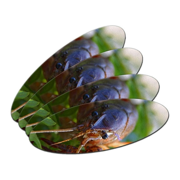 Crayfish Crawfish Crawdad - Freshwater Crustacean Oval Nail File Emery Board 4 Pack