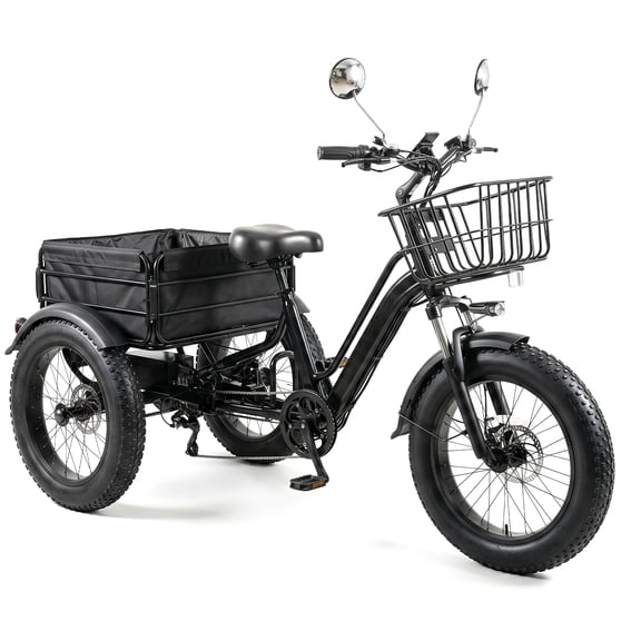 DRNANLIT Electric Tricycle for Adults, Peak 750W 20"×4.0" Fat Tire Electric Trike, Step-Thru E-Trike with 48V 13Ah Removable Battery, 3 Wheel Electric Bike with Dual Cargo Baskets ,16 MPH