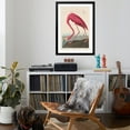 thumbnail image 4 of Art.com American Flamingo, 1838 Giclee Print by John James Audubon, Black Frame Wall Art, 32" x 44", 4 of 5