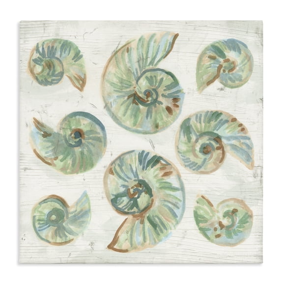 Stupell Industries Organic Saltwashed Shells Canvas Wall Art, design by June Erica Vess